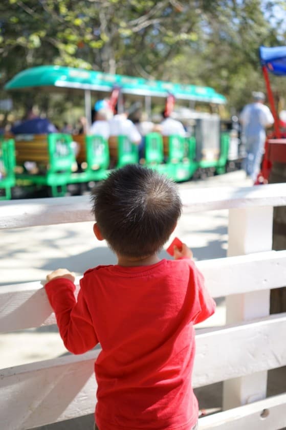 Irvine regional park.  Aiden's favorite: choo choo train.